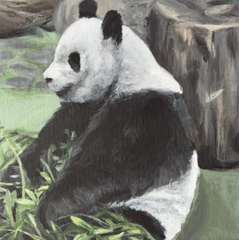 Acrylic painting of a giant panda seen in profile, seated among bamboo leaves with rocks and a tree stump behind it.